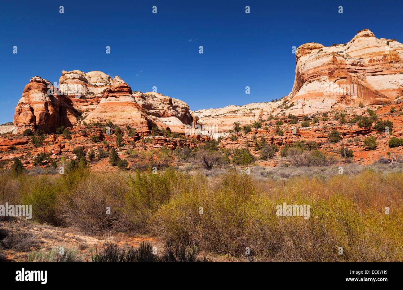 Sedimentary rock, Grand Staircase Escalante National Monument, Utah Stock Photo