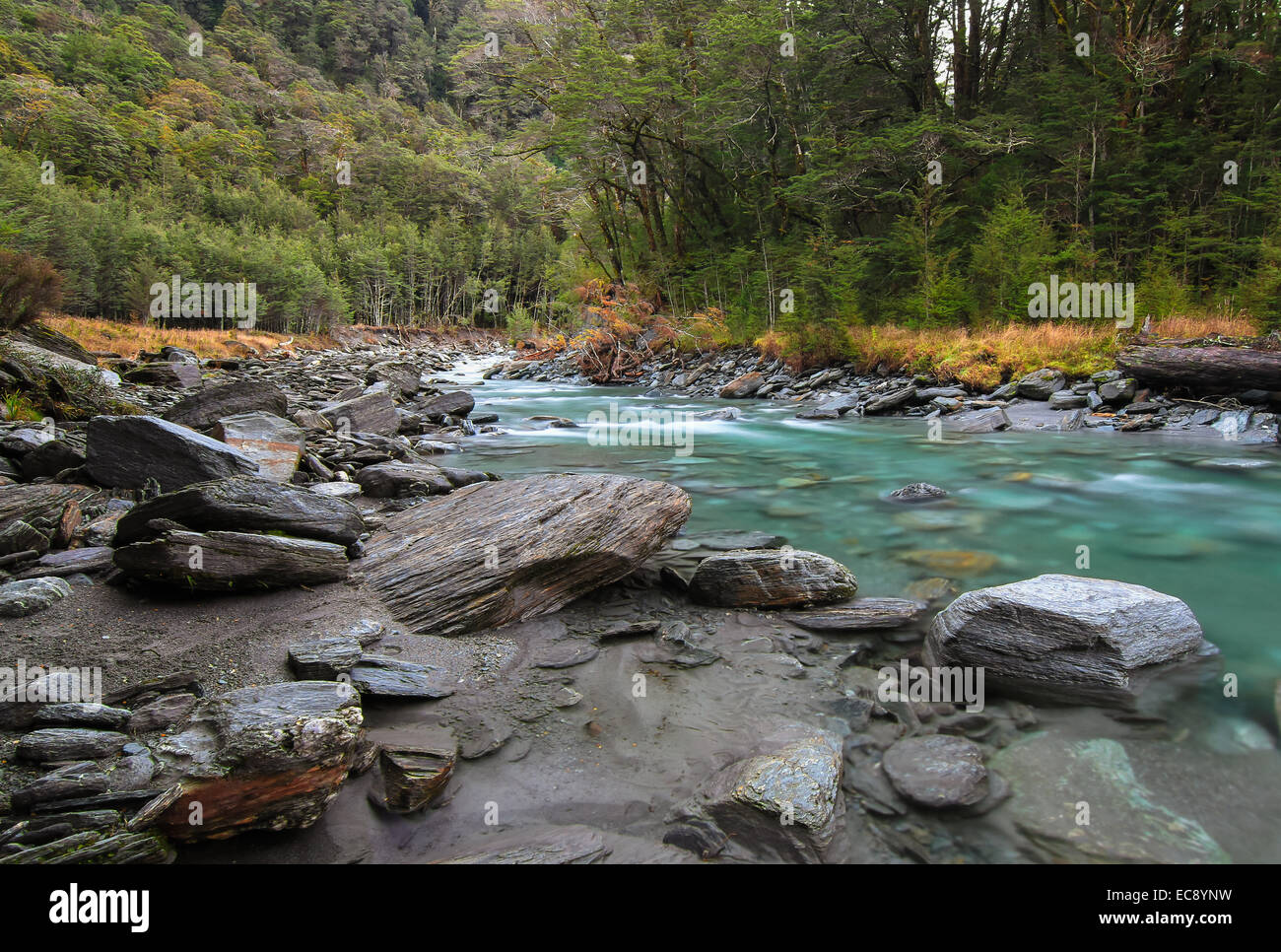 Matukituki River - West Branch, New Zealand Stock Photo