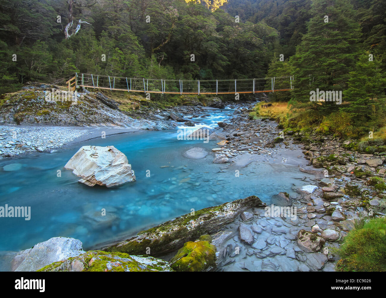 Brilliant Blue Stream in New Zealand's Lush Forest Stock Photo - Alamy