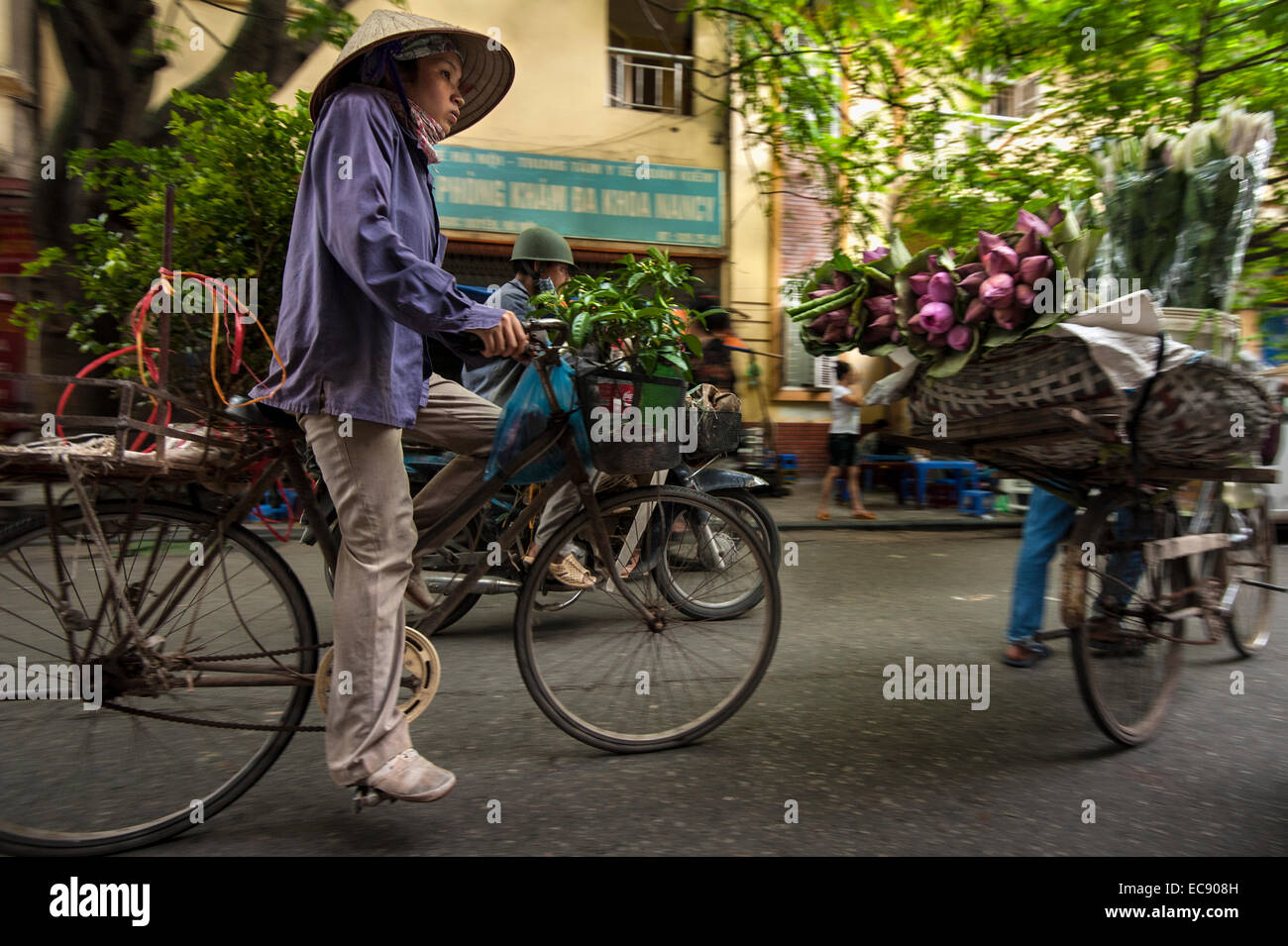 Garden on wheels, Hanoi Stock Photo