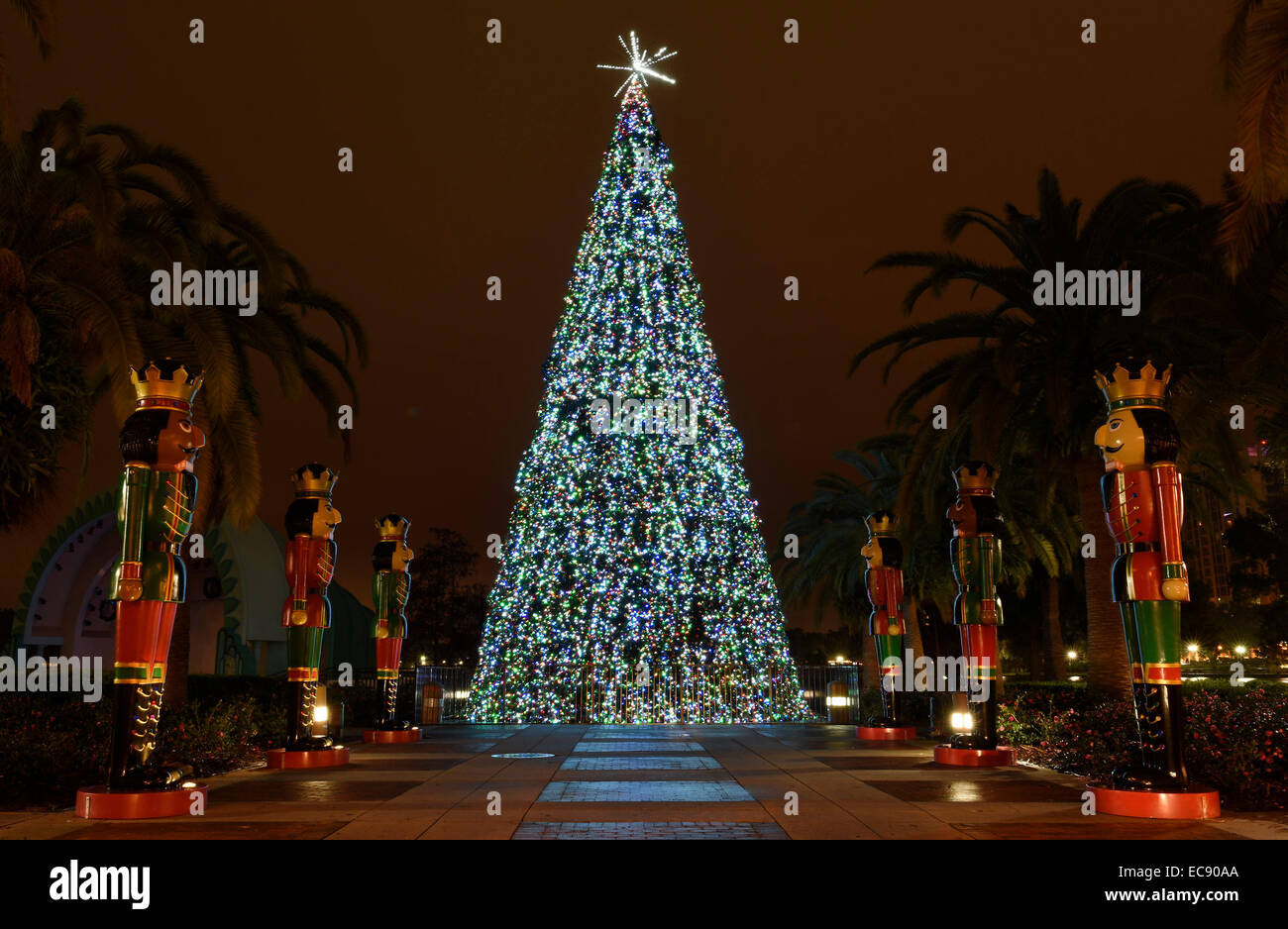 Lake Eola Christmas Tree Lighting 2022 Orlando, Florida, Usa. 8Th Dec, 2014. The Christmas Tree At Lake Eola Park  In Downtown Orlando, Florida, Usa On Monday December 8, 2014. Every Night  Through January 6, 2015 The Tree Comes