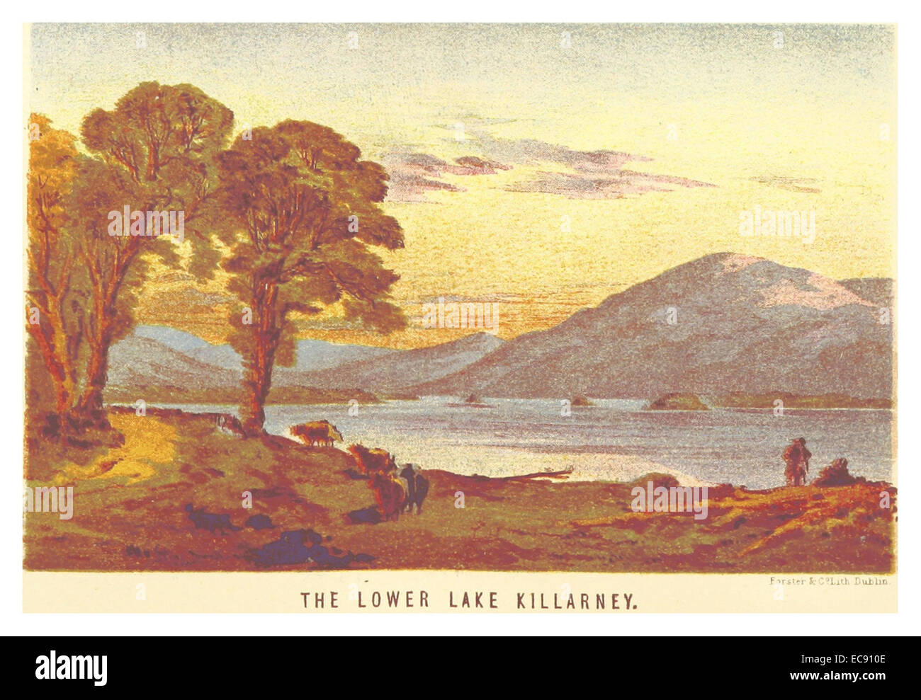 This 1871 illustration by Godkin & Walker depicts the Lower Lake Killarney, highlighting the scenic beauty of the region in Ireland. Stock Photo