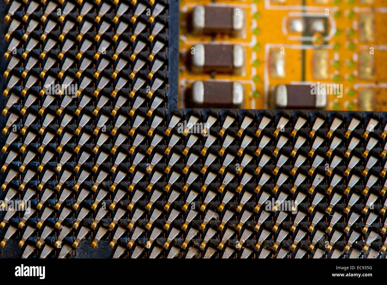 the computer processor on a white background is isolated gold color ...