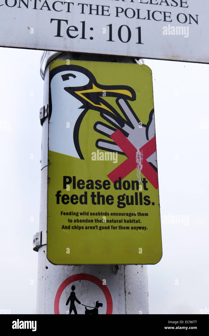 Do not feed the Seagulls sign at holiday resort. Stock Photo