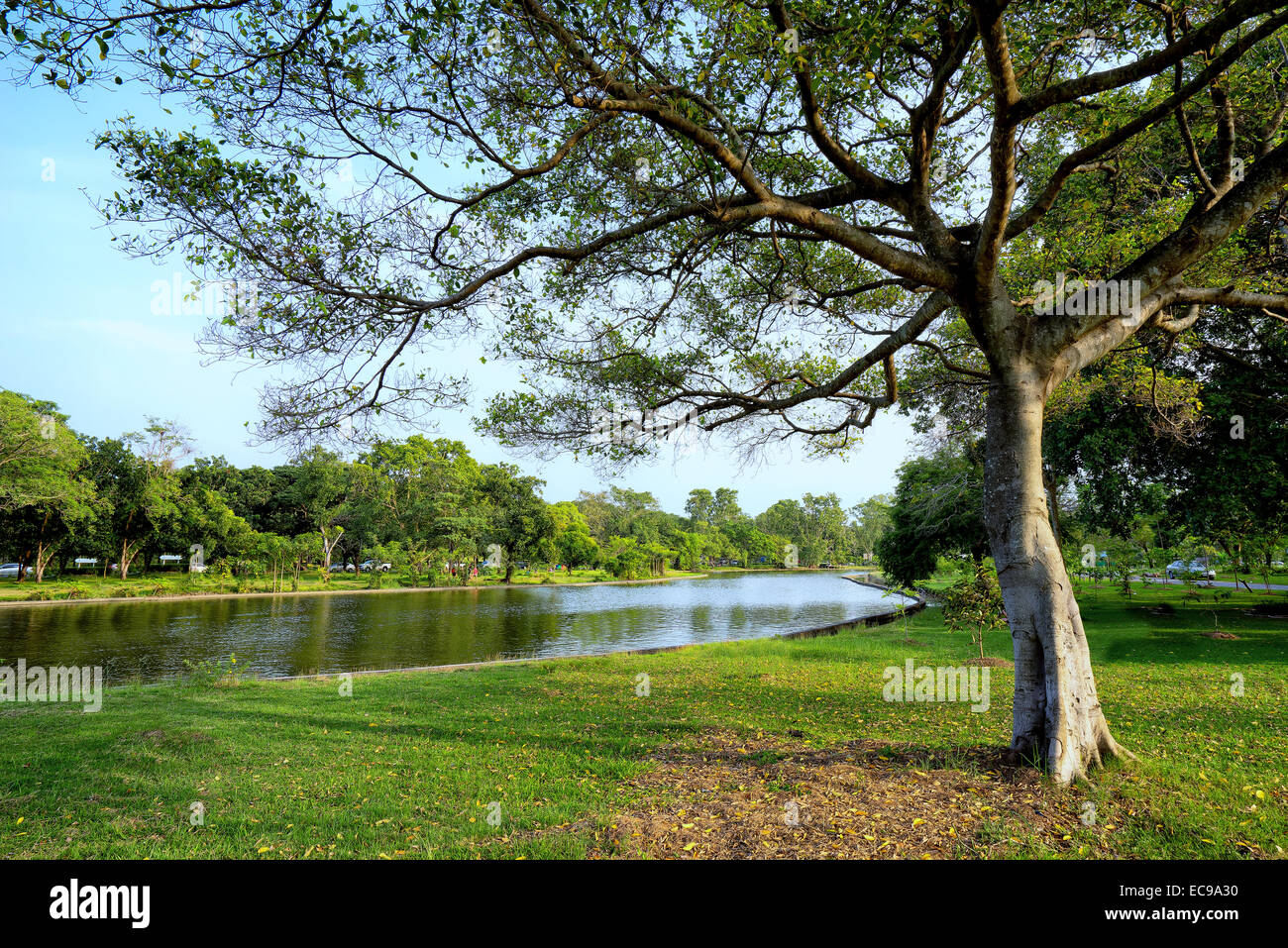 Beautiful green park water canal hi-res stock photography and images ...