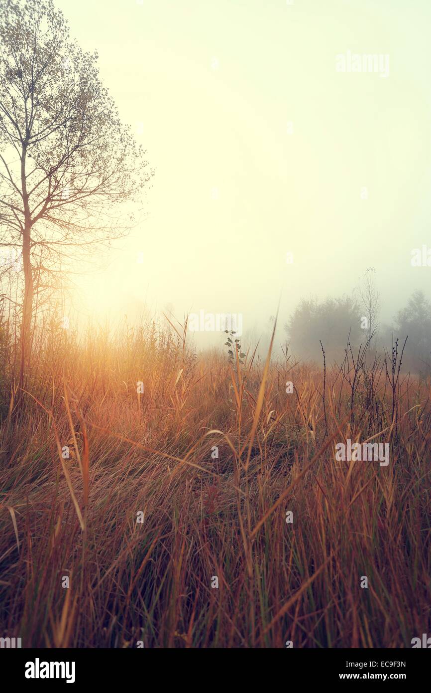 Idyllic Conditions Calm urban landscape hi-res stock photography and images - Alamy