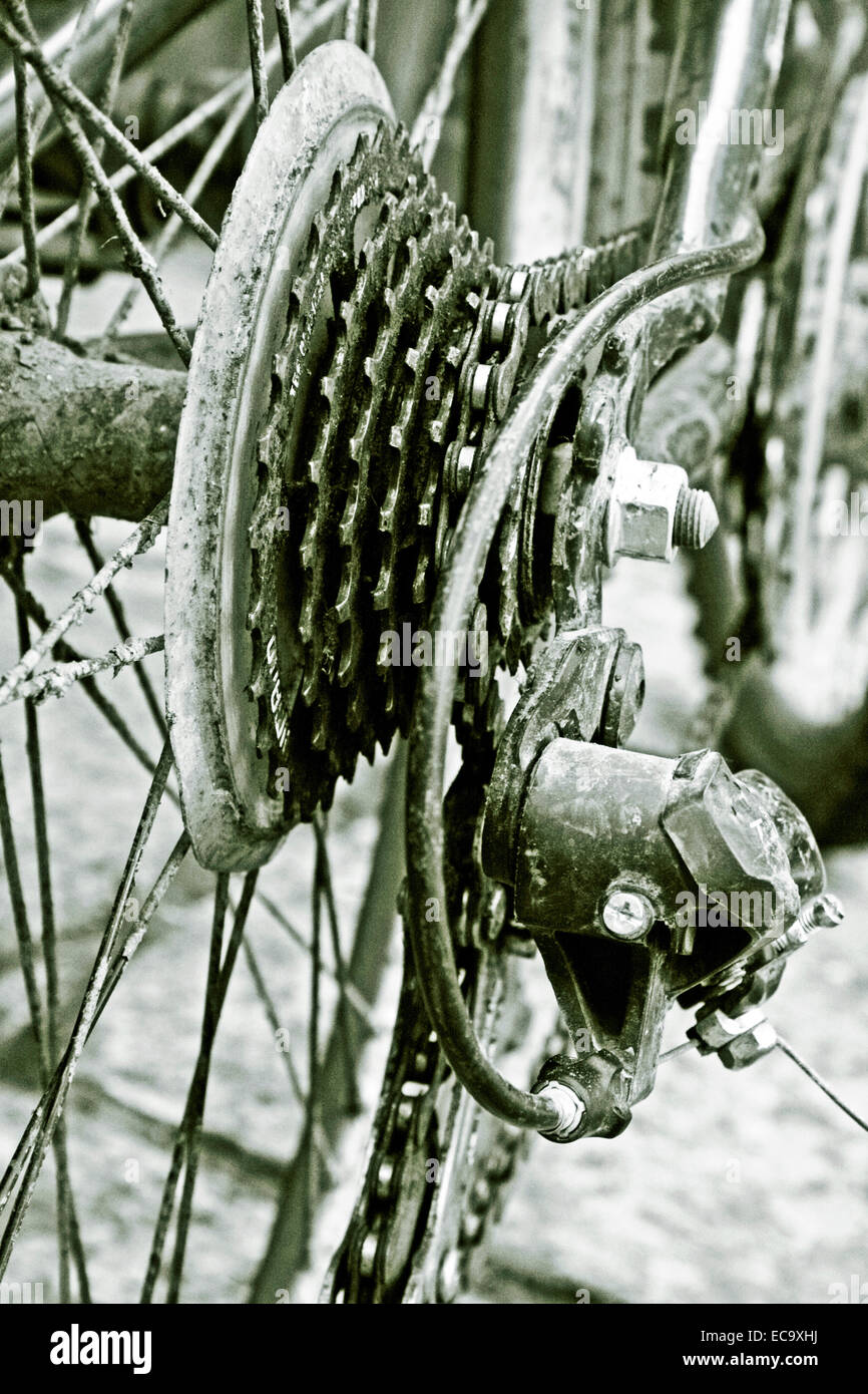 Muddy bicycle gears Stock Photo