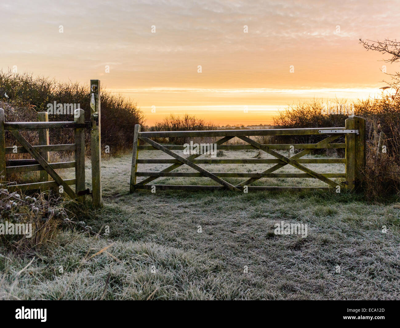 Countryside scene depicting a blanket of early morning frost covering a pathway leading to a partly open 5 bar gate at sunrise. Stock Photo