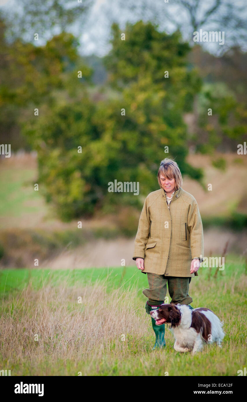 A woman training an English Springer Spaniel, to work as a gundog Stock Photo