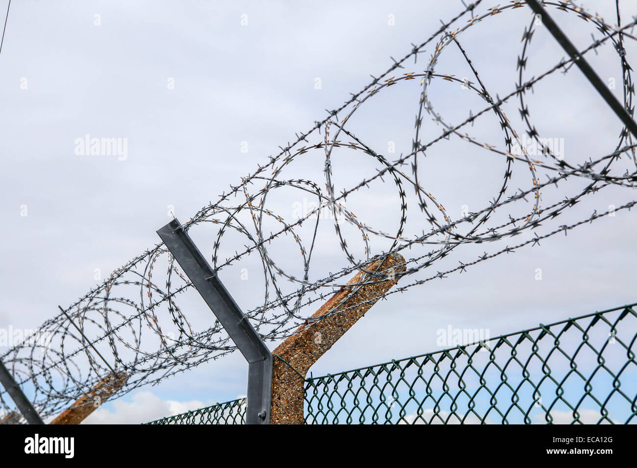 Barbed wire Stock Photo