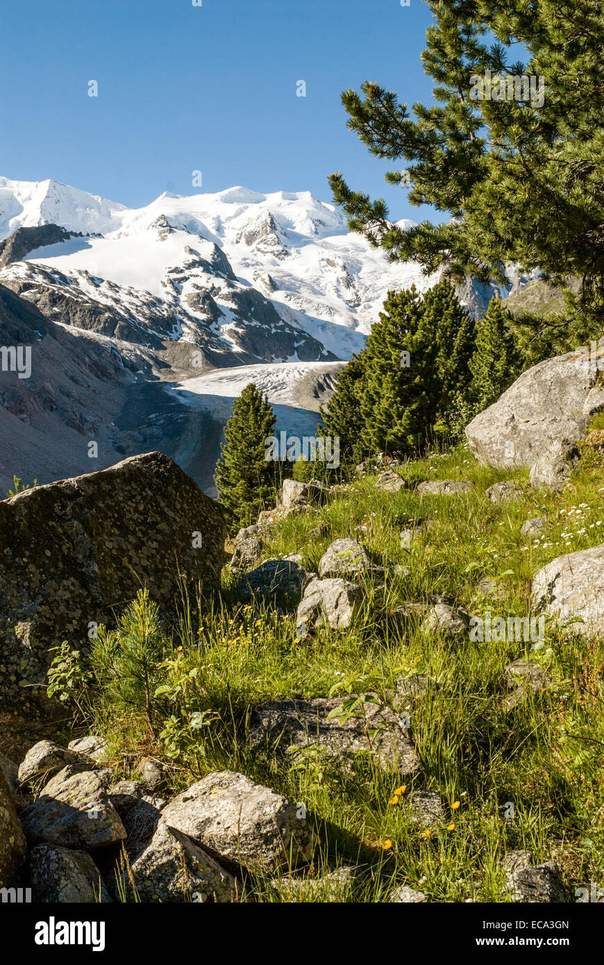 View at the Morteratsch Glacier, Engadine, Switzerland | Aussicht auf den Morteratsch Gletscher, Engadin, Schweiz Stock Photo