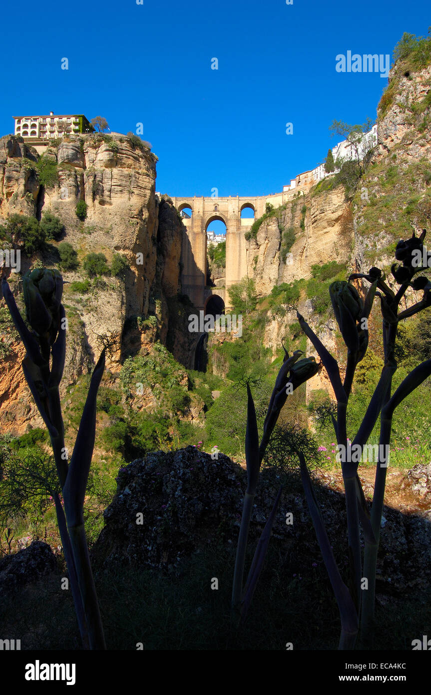 Puente Nuevo, new bridge, spanning the Tajo Gorge, Ronda, Málaga province, Andalusia, Spain, Europe Stock Photo