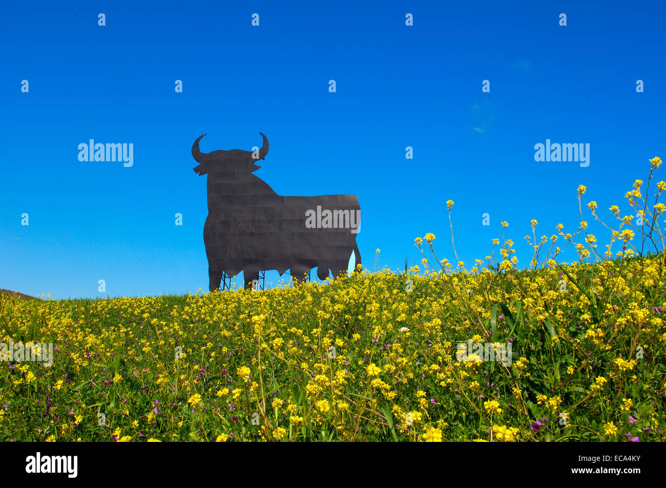 Bull silhouette, typical advertising of Spanish sherry Osborne, Malaga, Andalusia, Spain, Europe Stock Photo