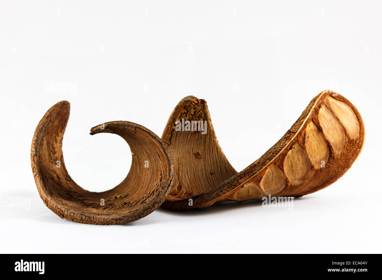 Taru hi-res stock photography and images - Alamy