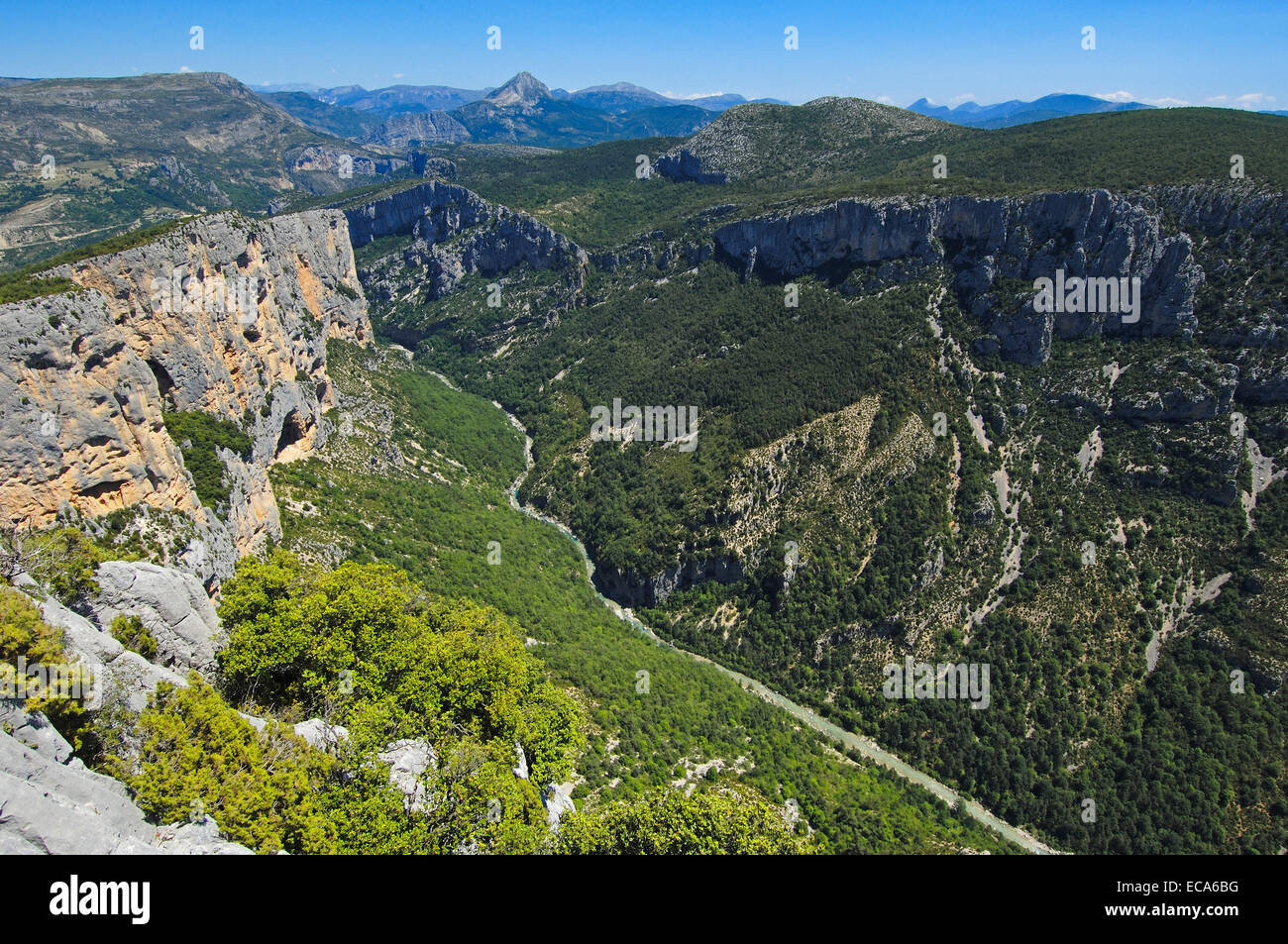 Canyon of the Verdon River, Verdon Regional Natural Park, Gorges du Verdon, Provence, Provence-Alpes-Cote-d'Azur, France, Europe Stock Photo