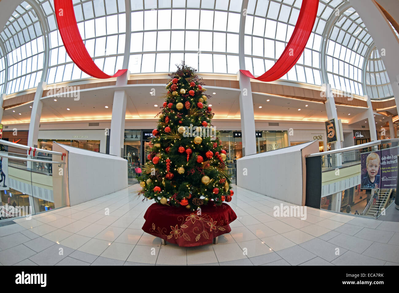 Roosevelt field shopping mall hi-res stock photography and images - Alamy