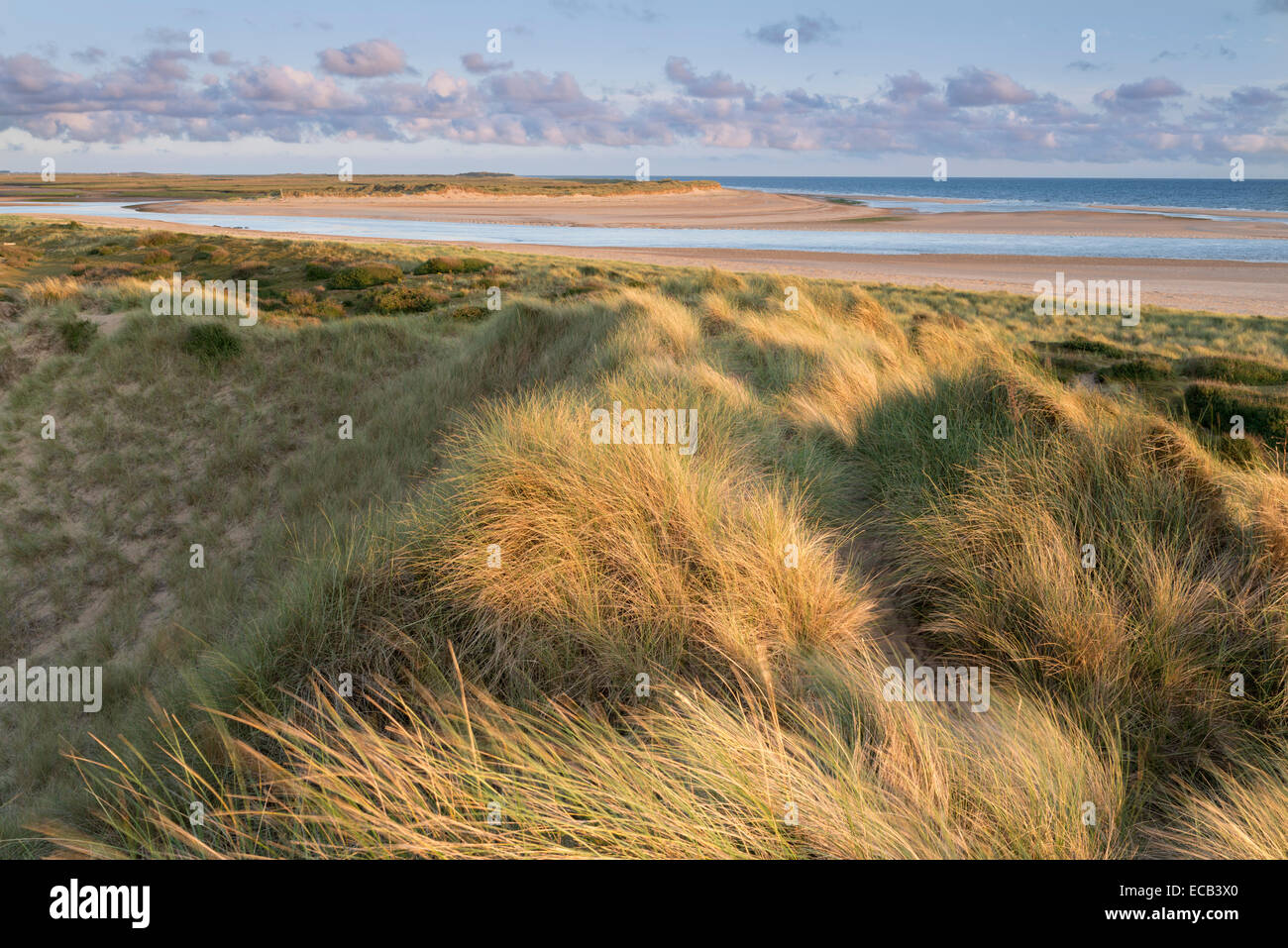 A view of Burnham Harbour and Scolt Head Island from Gun Hill at ...