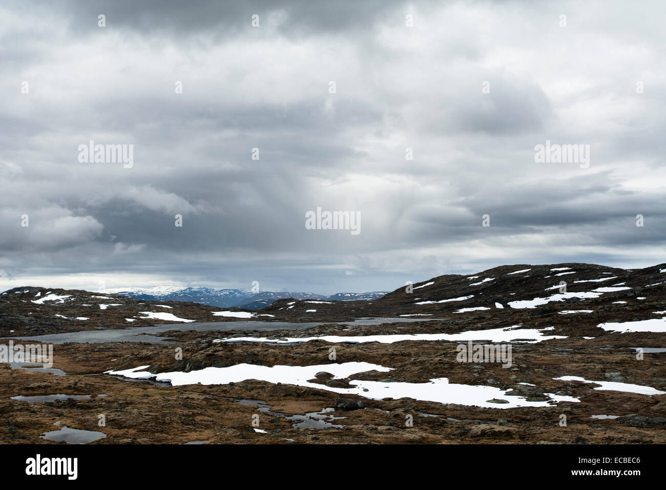 Pools and patches of snow on the Hardangervidda Plateau (Hardangervidda), Buskerud, Norway Stock Photo
