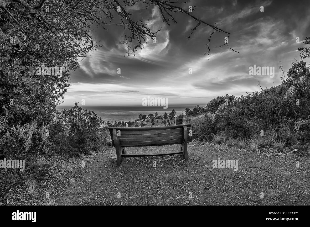 Bench Overlooking The Pacific Ocean At Sun Rise In Black White