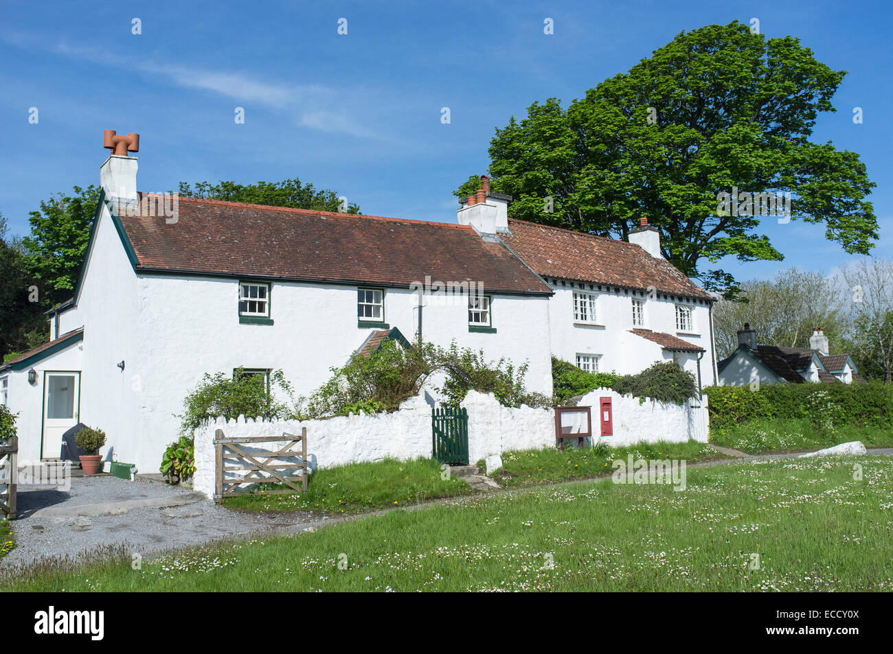 Whitewashed Cottages in Penrice Village on the Gower Peninsular Wales Stock Photo
