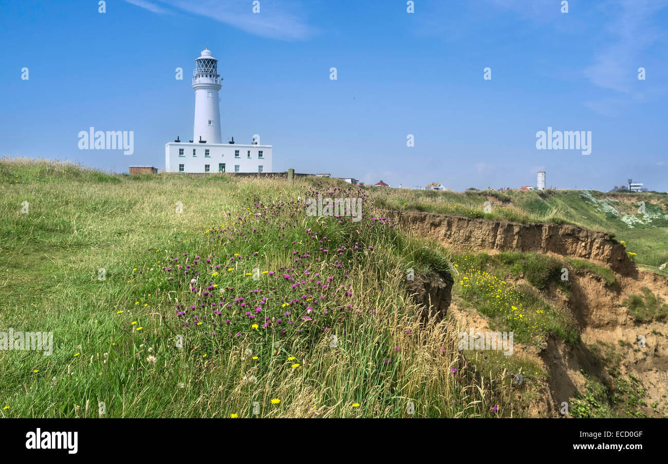 The lighthouse flanked by the coastline and wild flowers on a  summer at Flamborough Head, East Riding of Yorkshire, UK. Stock Photo
