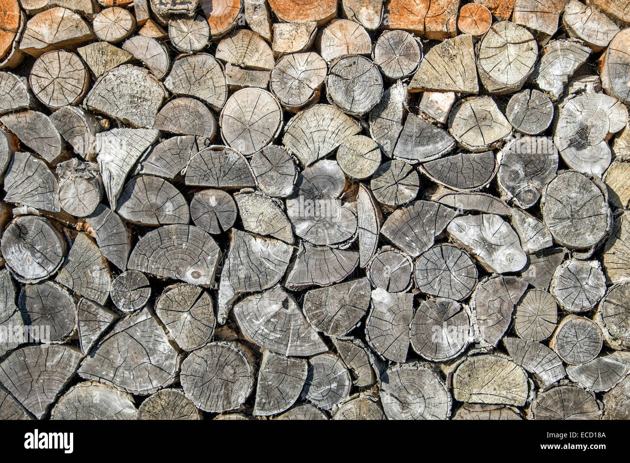 The sawn ends of logs in a woodpile Stock Photo