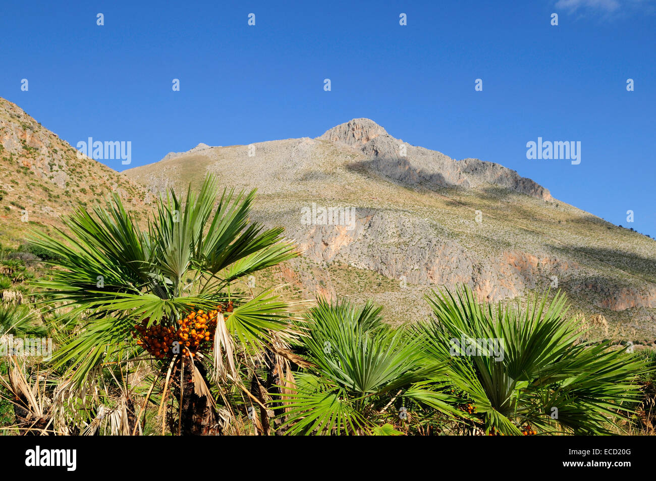 Views on Monte Rosso del Lupo in the Riserva Naturale dello Zingaro, Zingaro nature reserve near  Scopello, Sicily Stock Photo