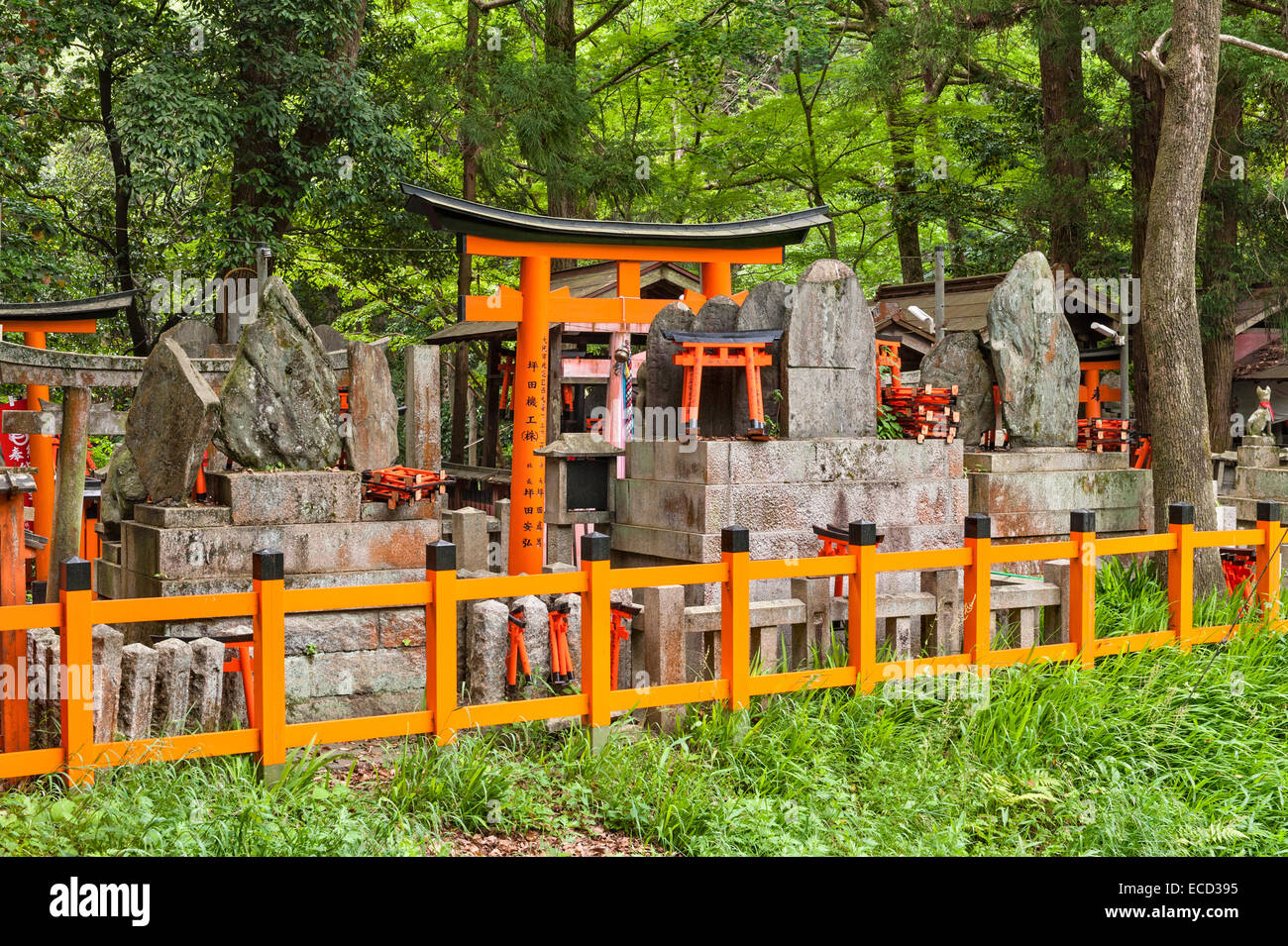 A thousand red torii gates line the mountainside at Fushimi Inari-taisha, Kyoto, Japan. It is the principal shrine of Inari, god of rice and foxes Stock Photo