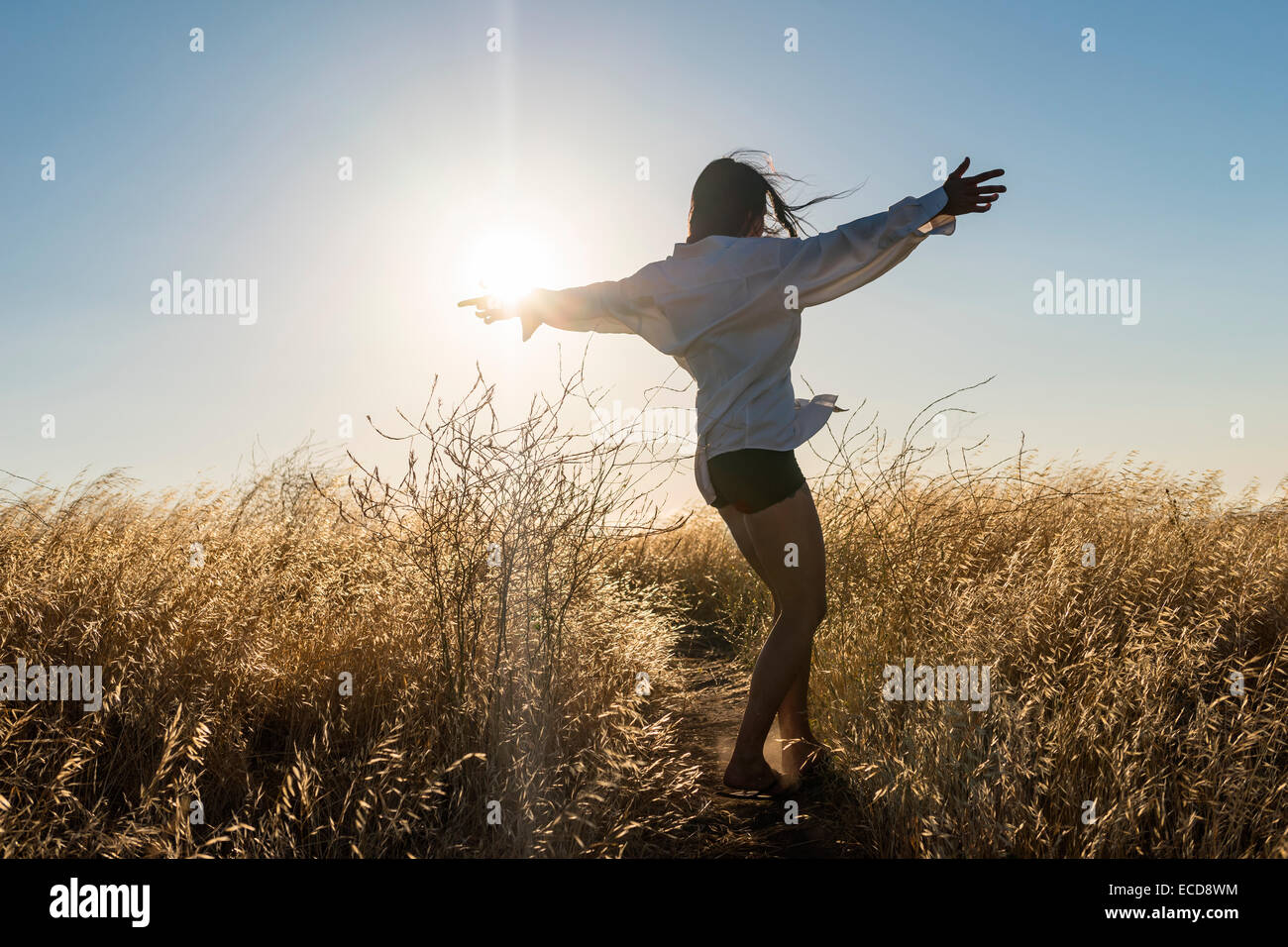 Woman dancing in a field of golden grass in sun drenched hills of