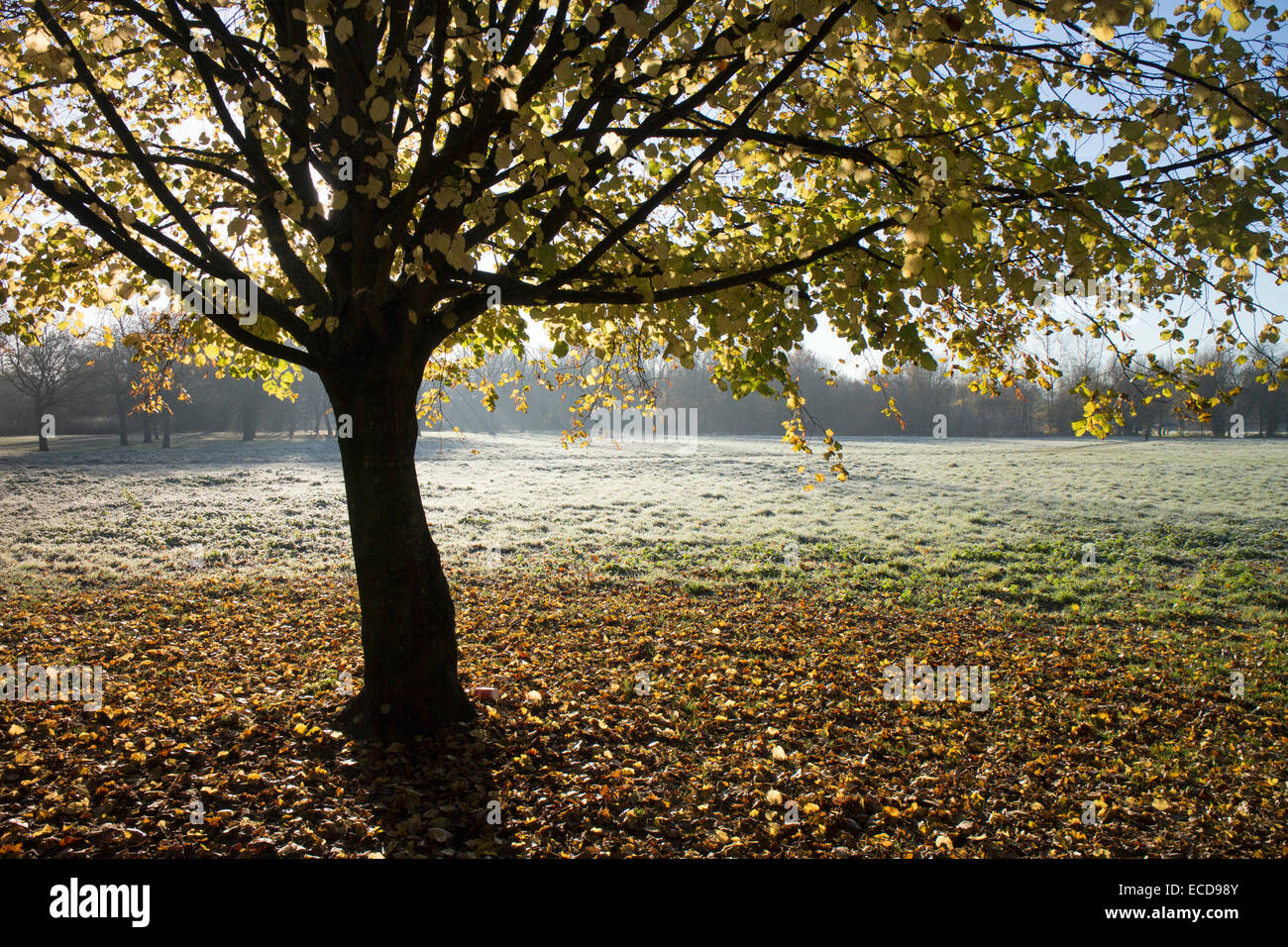Spiceball Park in autumn, Banbury, Oxfordshire, England, UK Stock Photo