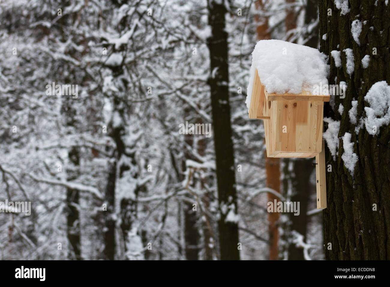 Wooden house for the birds in winter Park. Covered with snow Stock Photo