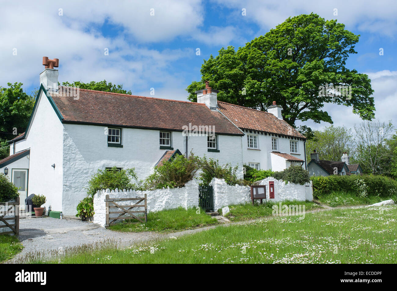 Whitewashed Cottages in Penrice Village on the Gower Peninsular Wales Stock Photo