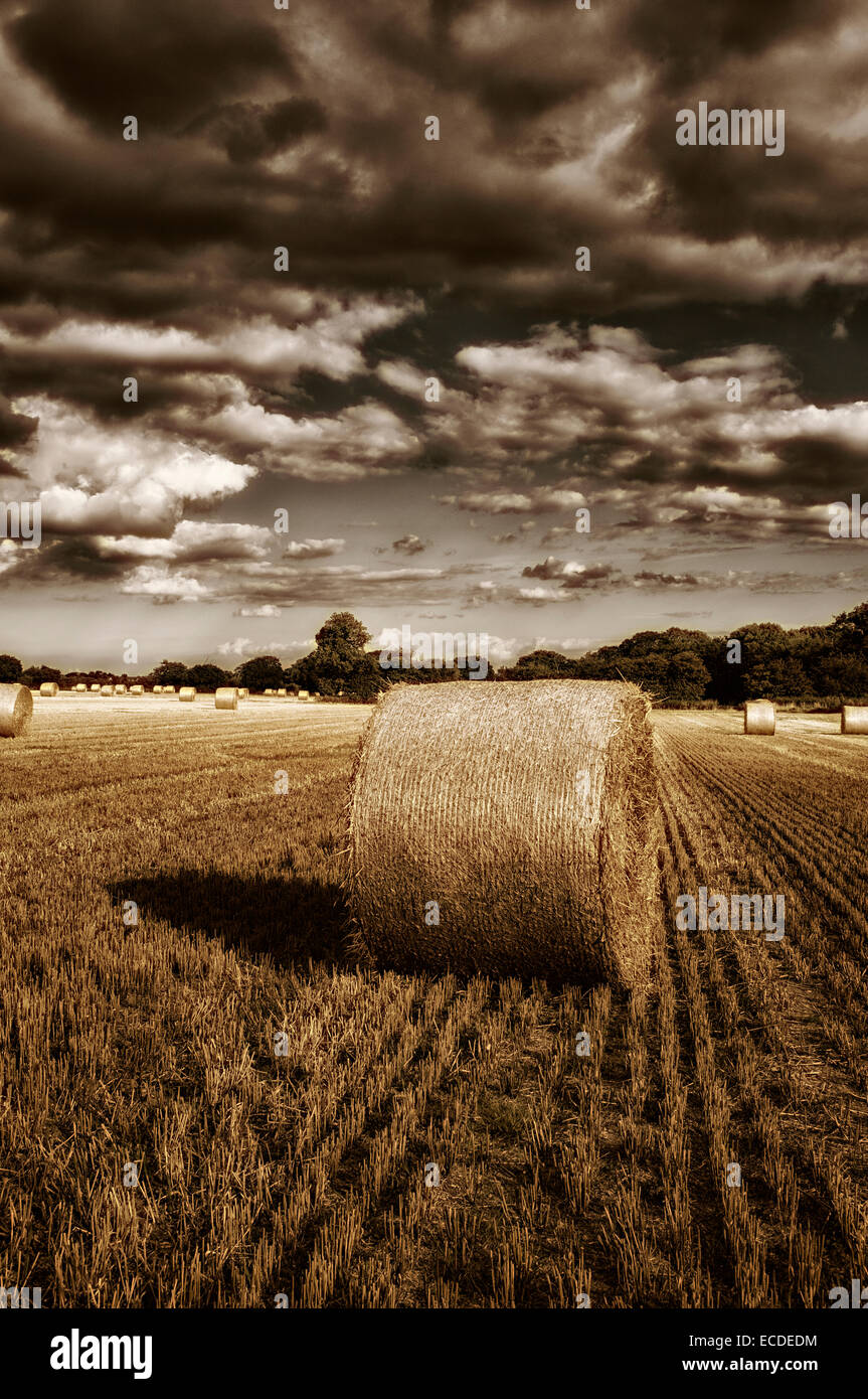Round Bales of Straw Harvest under Storm Clouds Stock Photo - Alamy