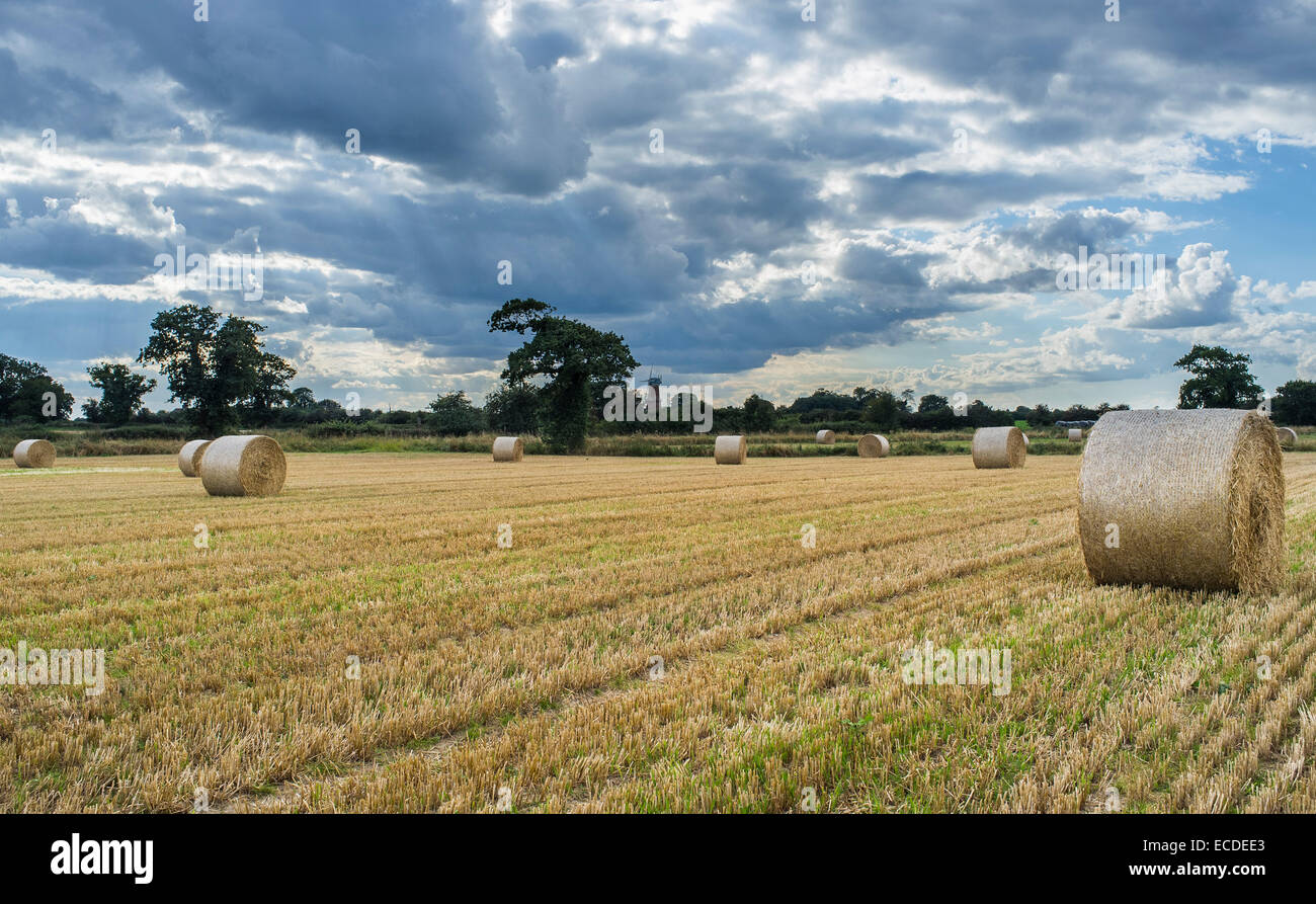 Round Bales of Straw Harvest under Storm Clouds Stock Photo