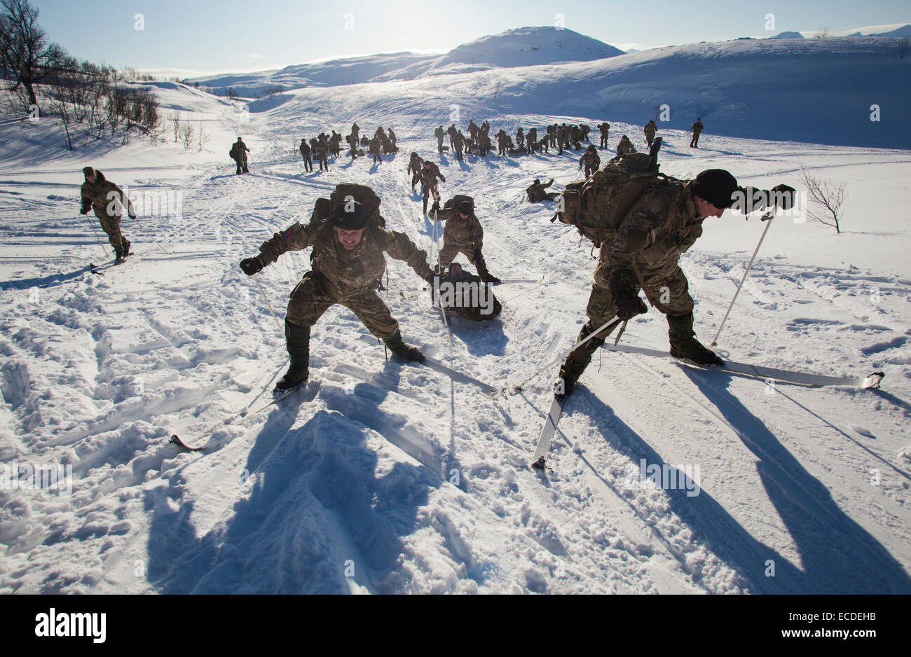 Marines ski training hires stock photography and images Alamy