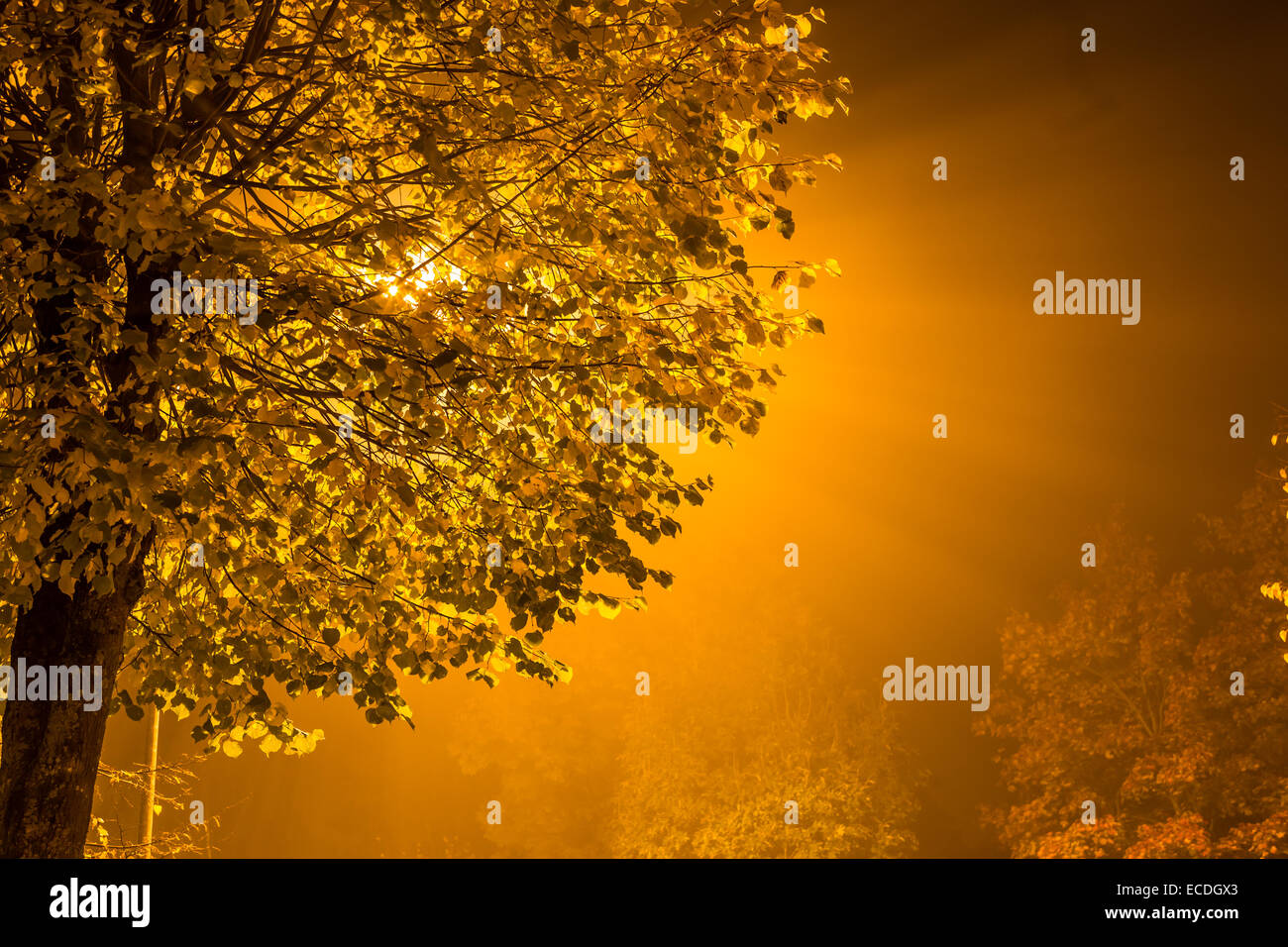 Suburban street night hi-res stock photography and images - Alamy