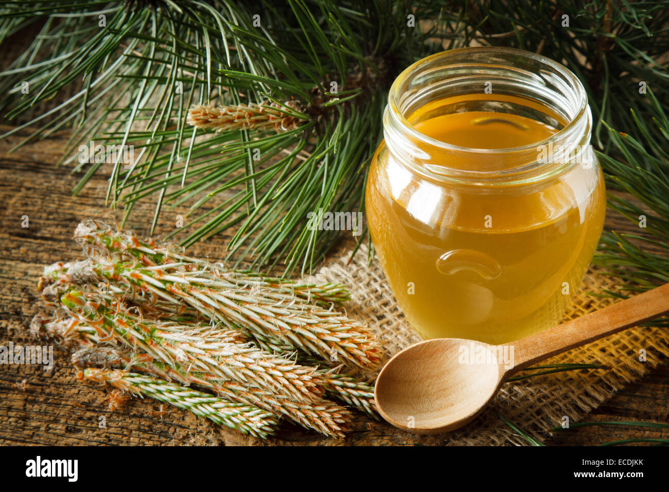 Homemade syrup made from green young pine buds and sugar Stock Photo