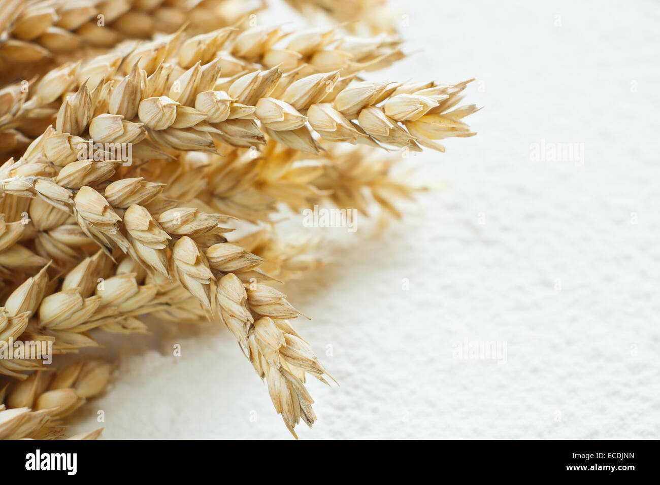 Scattered wheat flour on table as background and wheat spike Stock Photo