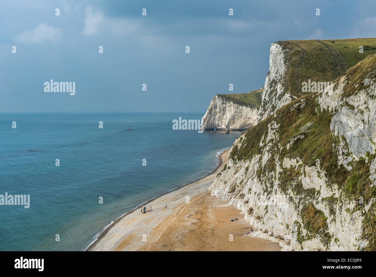 Chalk cliffs and beaches on the Jurassic Coast near Lulworth in Dorset