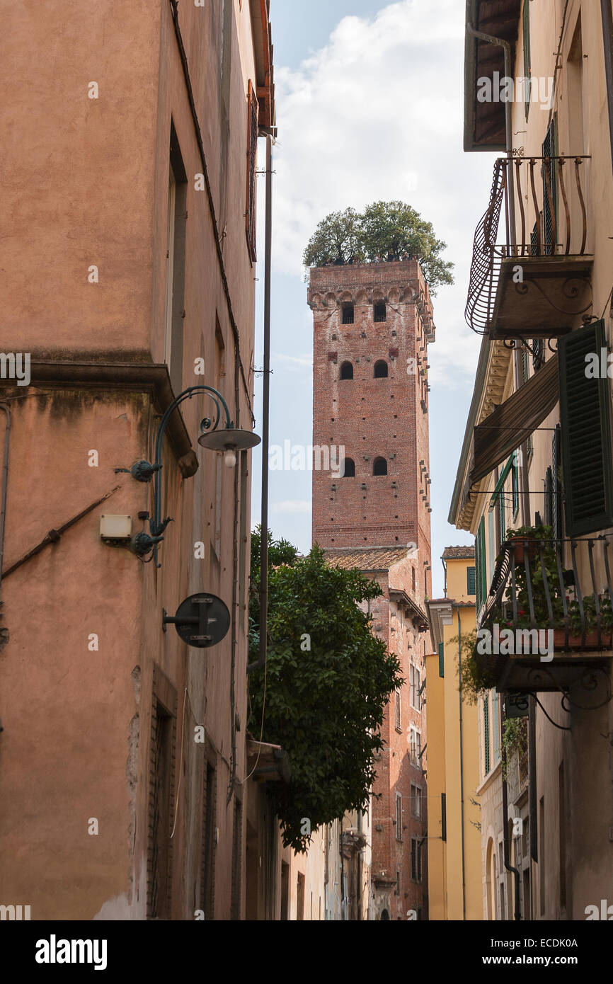 Guinigi Tower In Lucca Italy With Trees On The Top 44