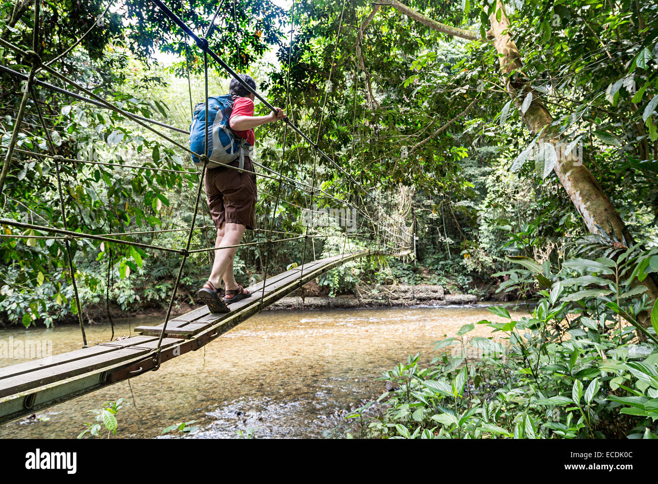 Woman crossing river using rope bridge to Camp 5, Mulu, Malaysia Stock Photo
