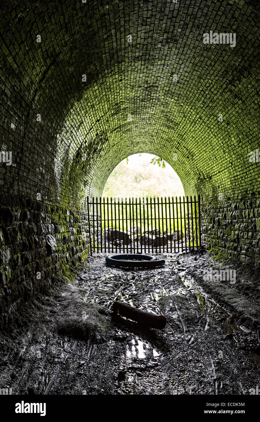 Disused railway tunnel, Clydach Wales, UK Stock Photo Alamy