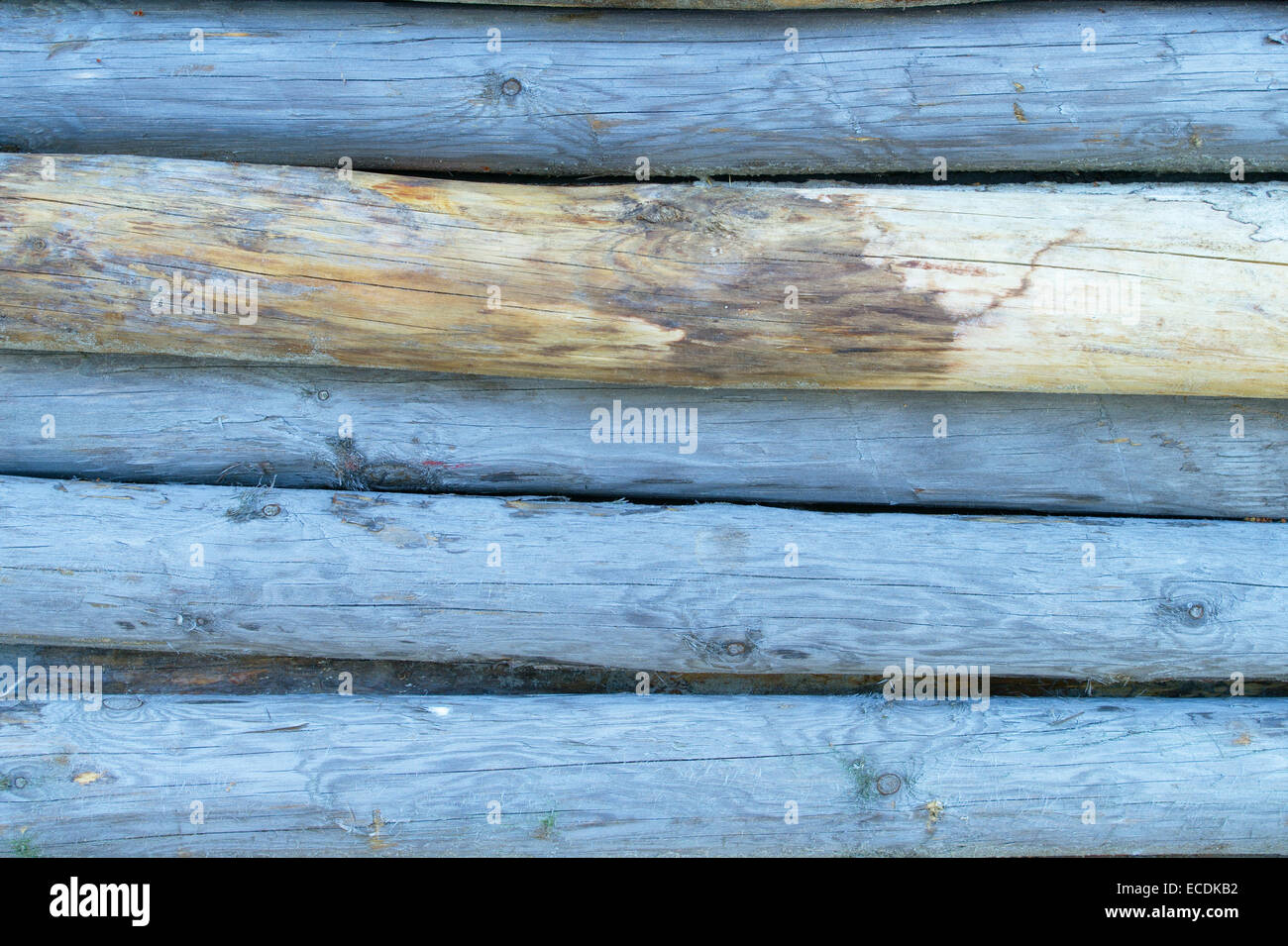 Wooden blue logs background pattern texture. Stock Photo