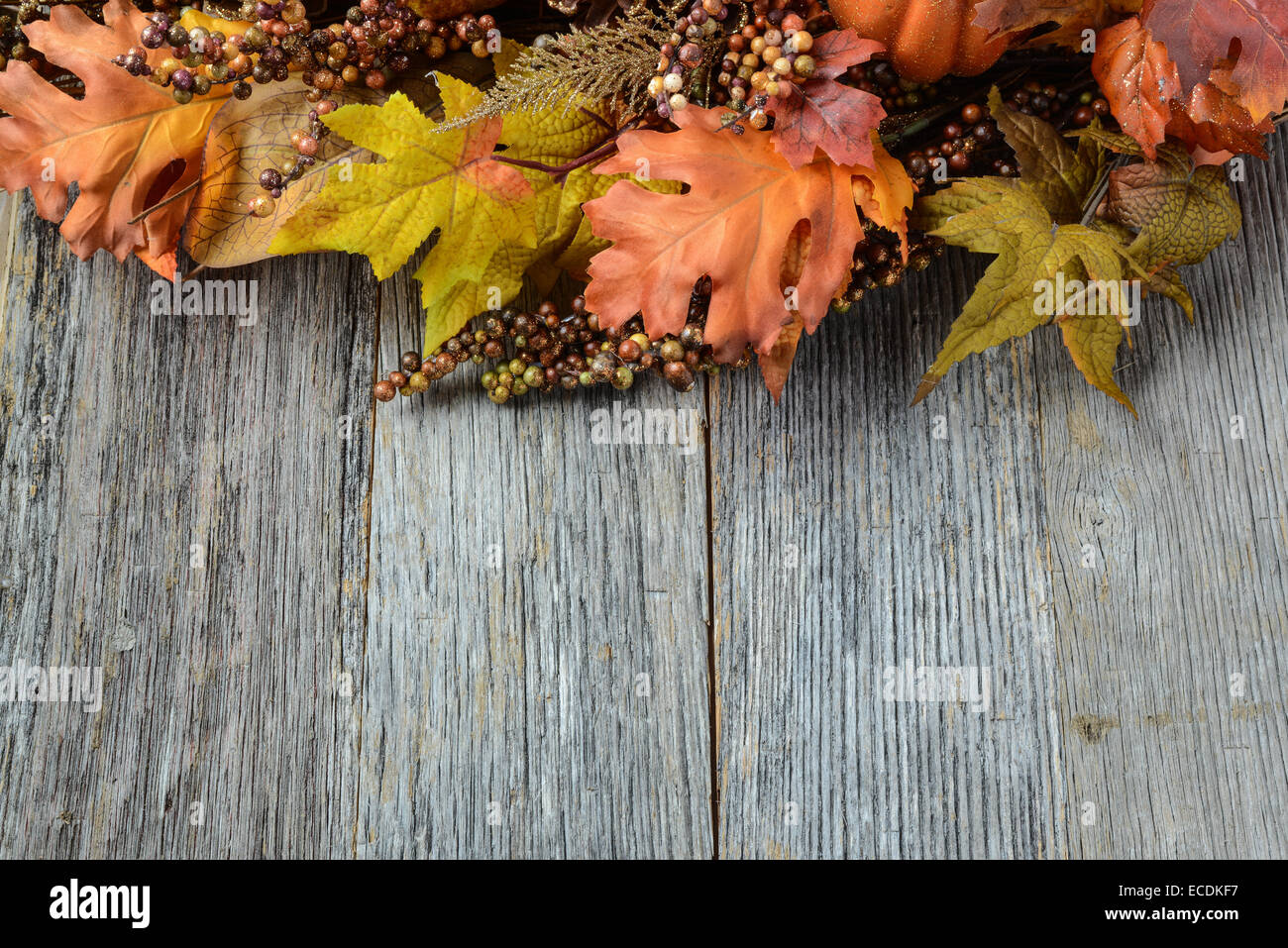 Autumn leaves and berry over wooden background for Thanksgiving Stock Photo