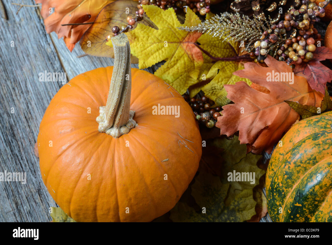 Autumn Pumpkins surrounded by leaves Stock Photo