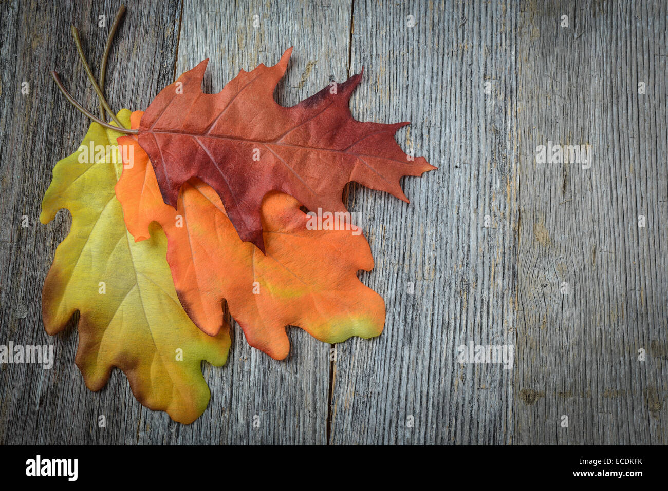 autumn leaves on rustic wooden background Stock Photo