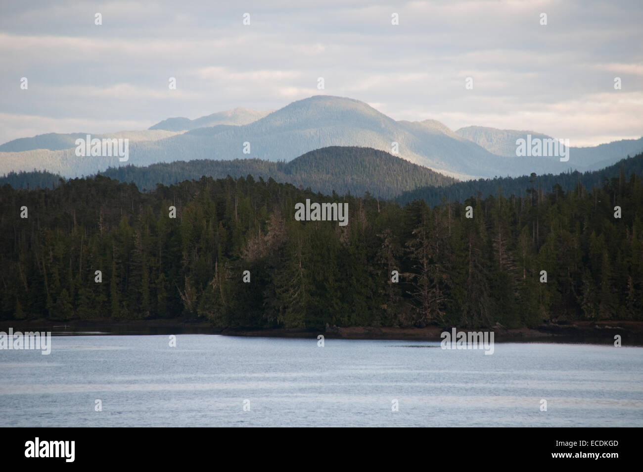 Forest, mountains and ocean along Denny Island In the Great Bear Rainforest of British Columbia, Canada. Stock Photo