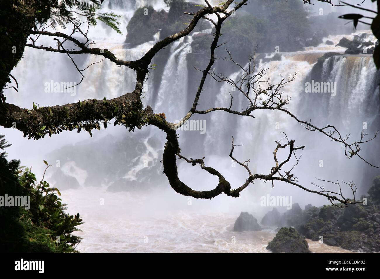 Iguazu Falls - spectacular waterfalls on Brazil and Argentina border. National park and UNESCO World Heritage Site. Seen from Ar Stock Photo