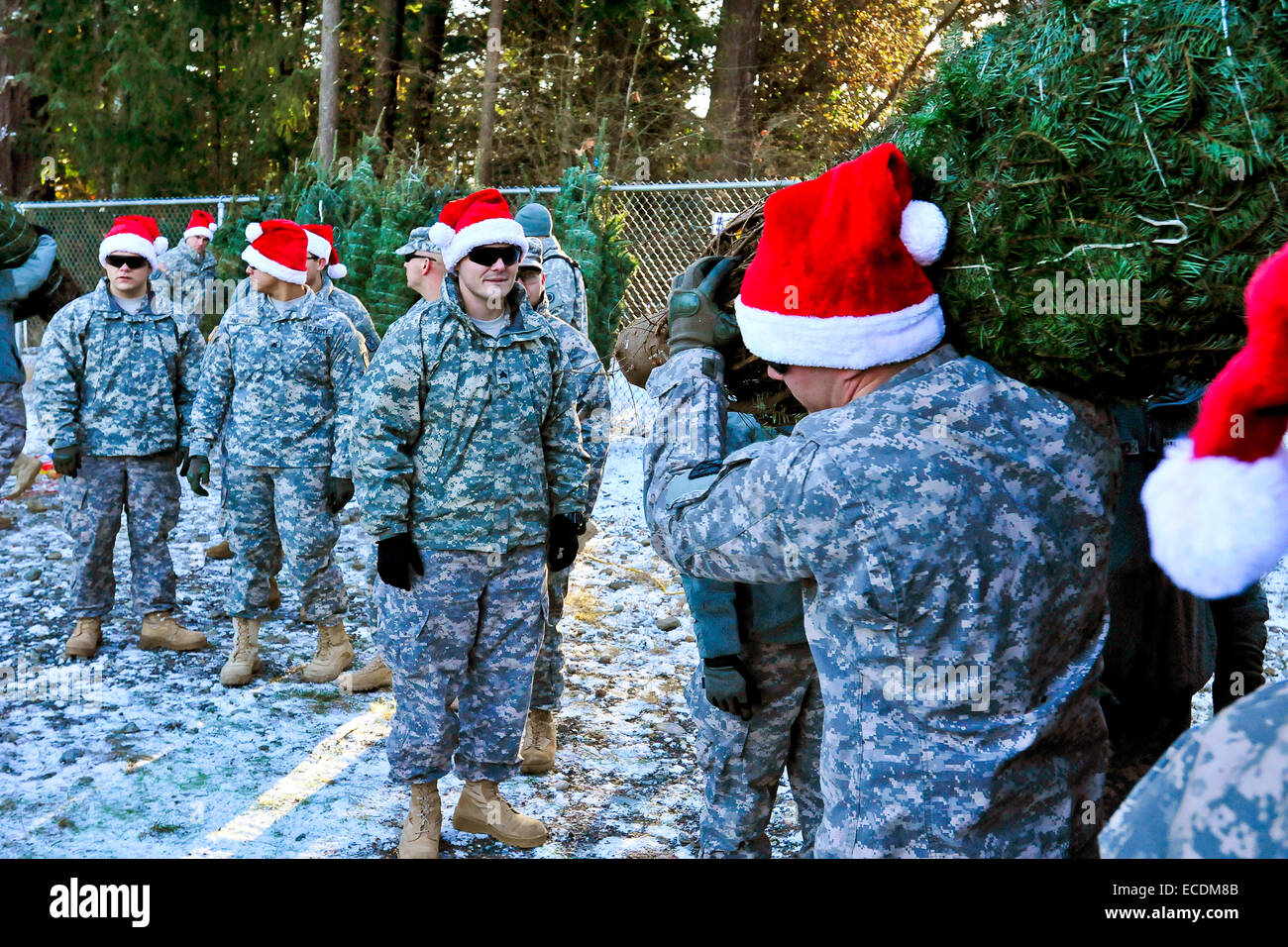 US Army soldiers wearing Santa hats unload Christmas trees as they arrive at Joint Base Lewis-McChord as part of the Trees for Troops program December 2, 2014 in Tacoma, Washington. The Christmas Spirit Foundation partnered with FedEx and private donors provided more than 1,000 free Christmas trees to military families on the base. Stock Photo