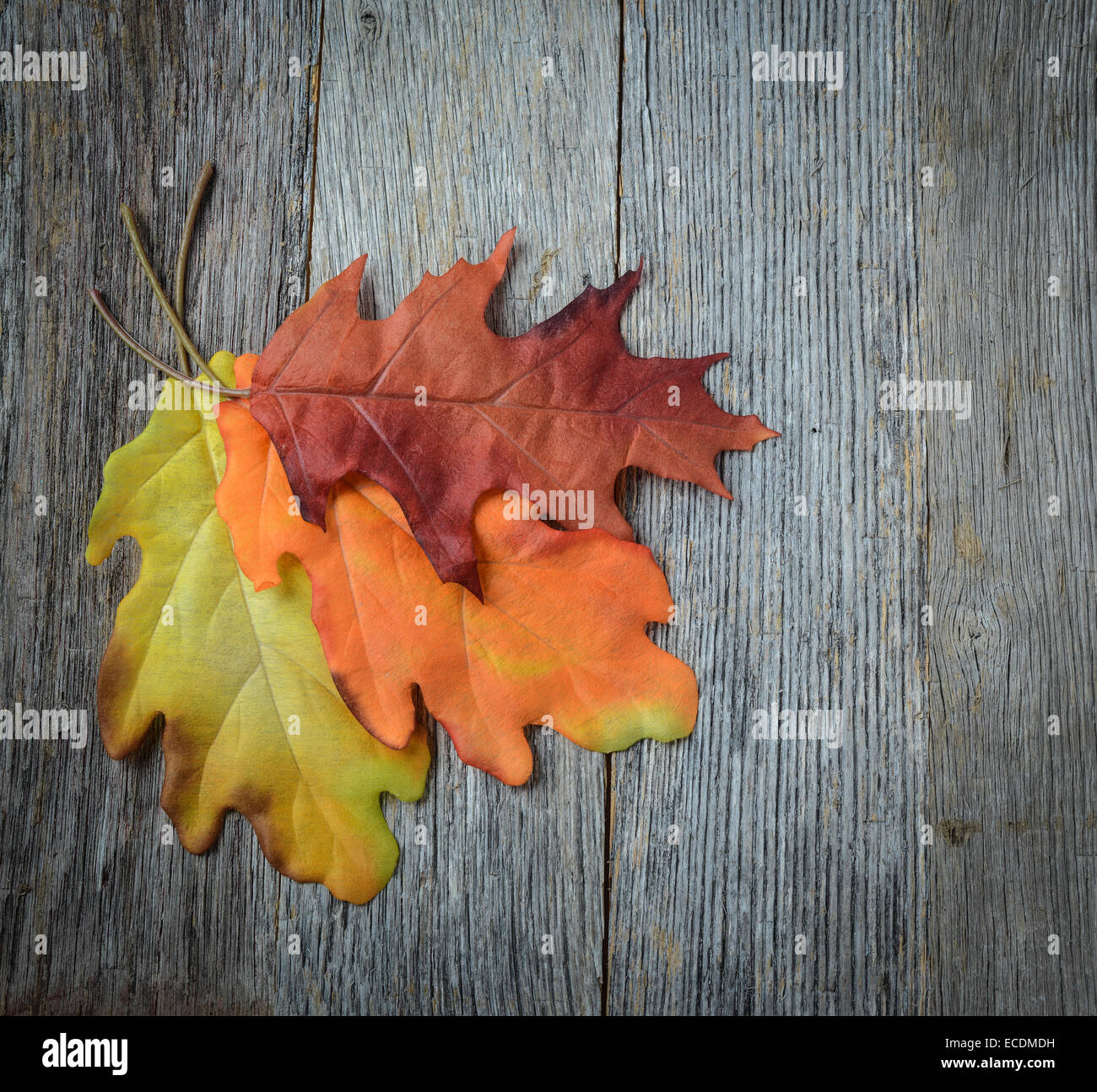 autumn leaves on rustic wooden background Stock Photo